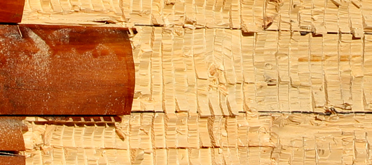 Log Home Face Restoration  Orange County, Virginia